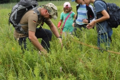 Naturcamp3-2015-014